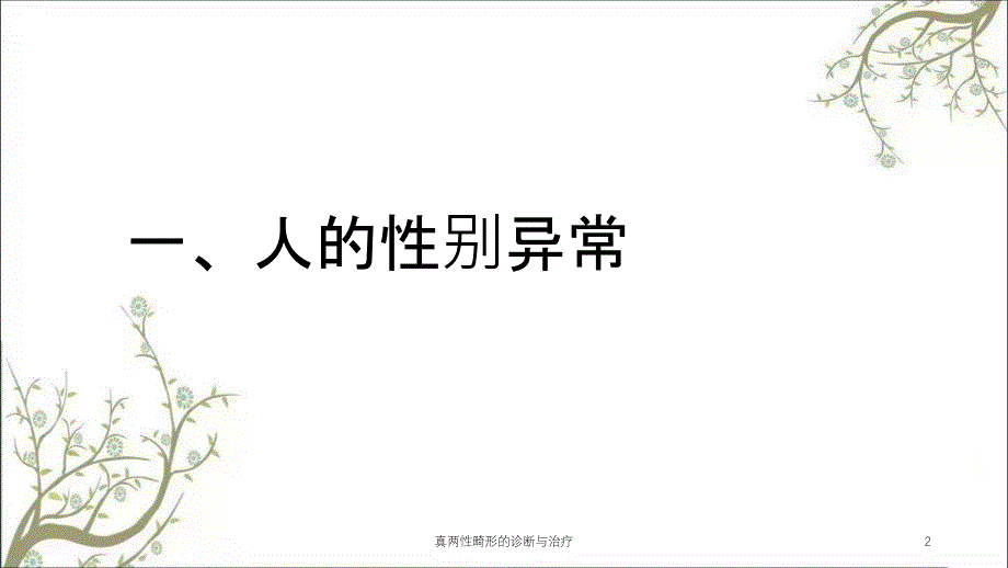 真两性畸形的诊断与治疗课件_第2页