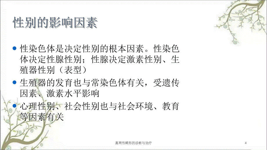 真两性畸形的诊断与治疗课件_第4页