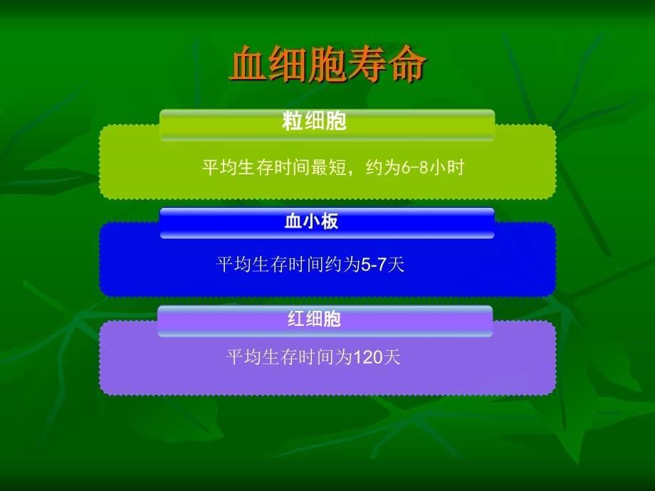 GCSF与GMCSF序贯联合治疗骨髓抑制课件_第5页