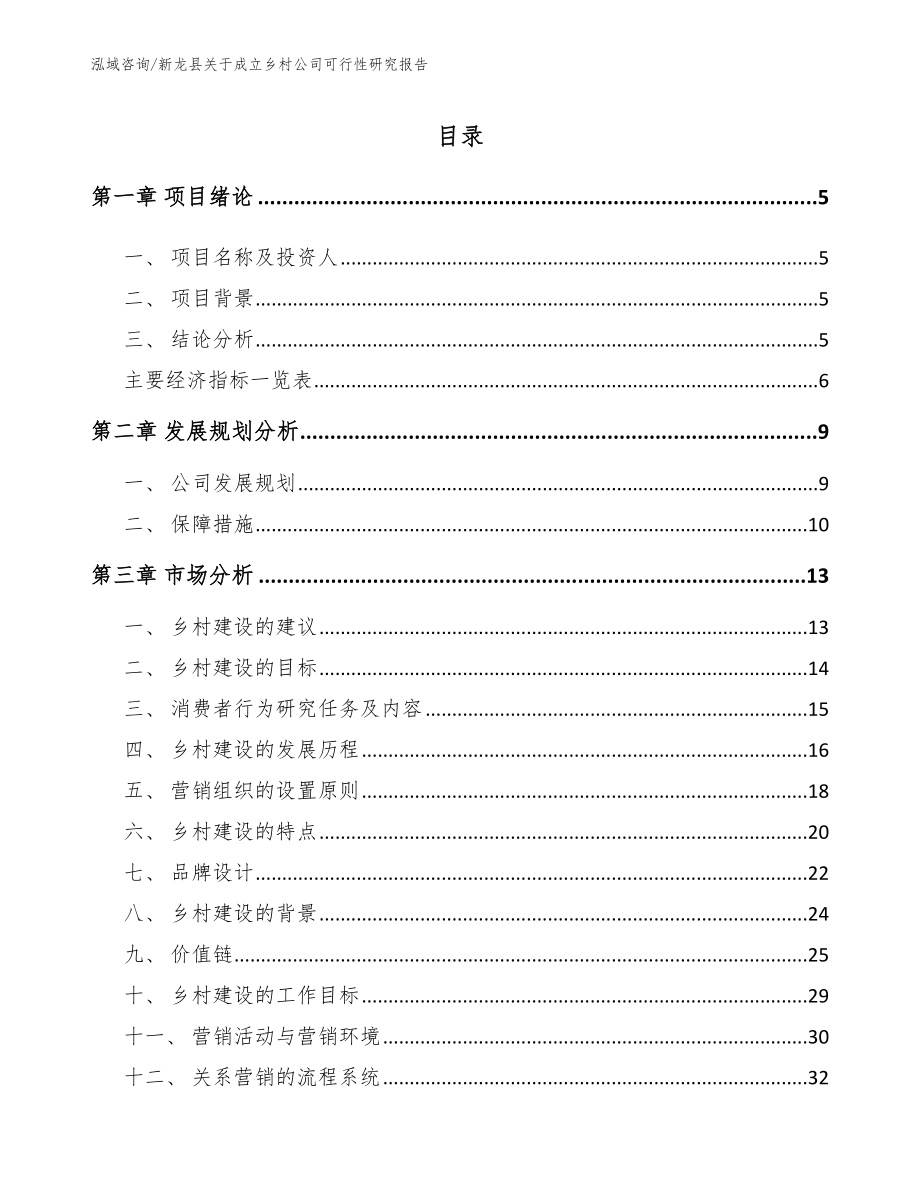 新龙县关于成立乡村公司可行性研究报告_第1页