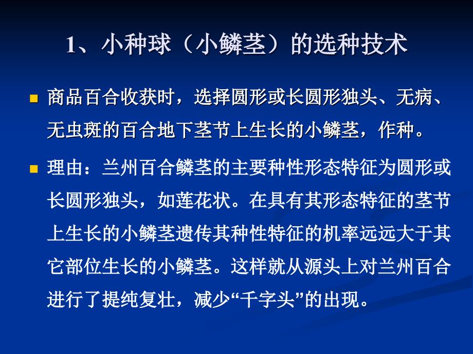 兰州百合生产栽培与高效施肥技术培训_第4页