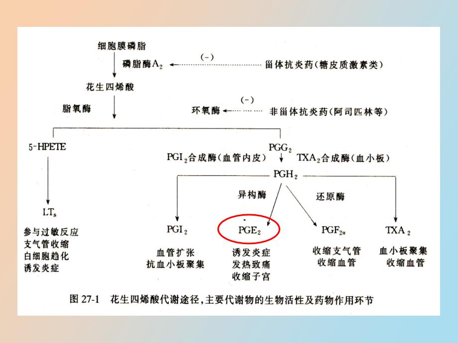 解热镇痛抗炎药改过_第4页