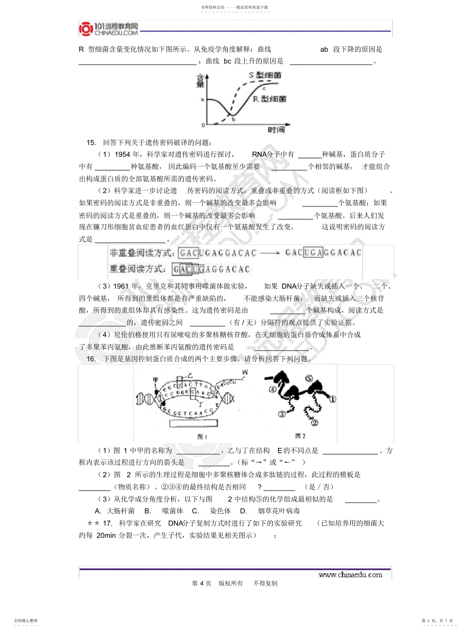 2022年2022年基因的本质与表达综合练习_第4页