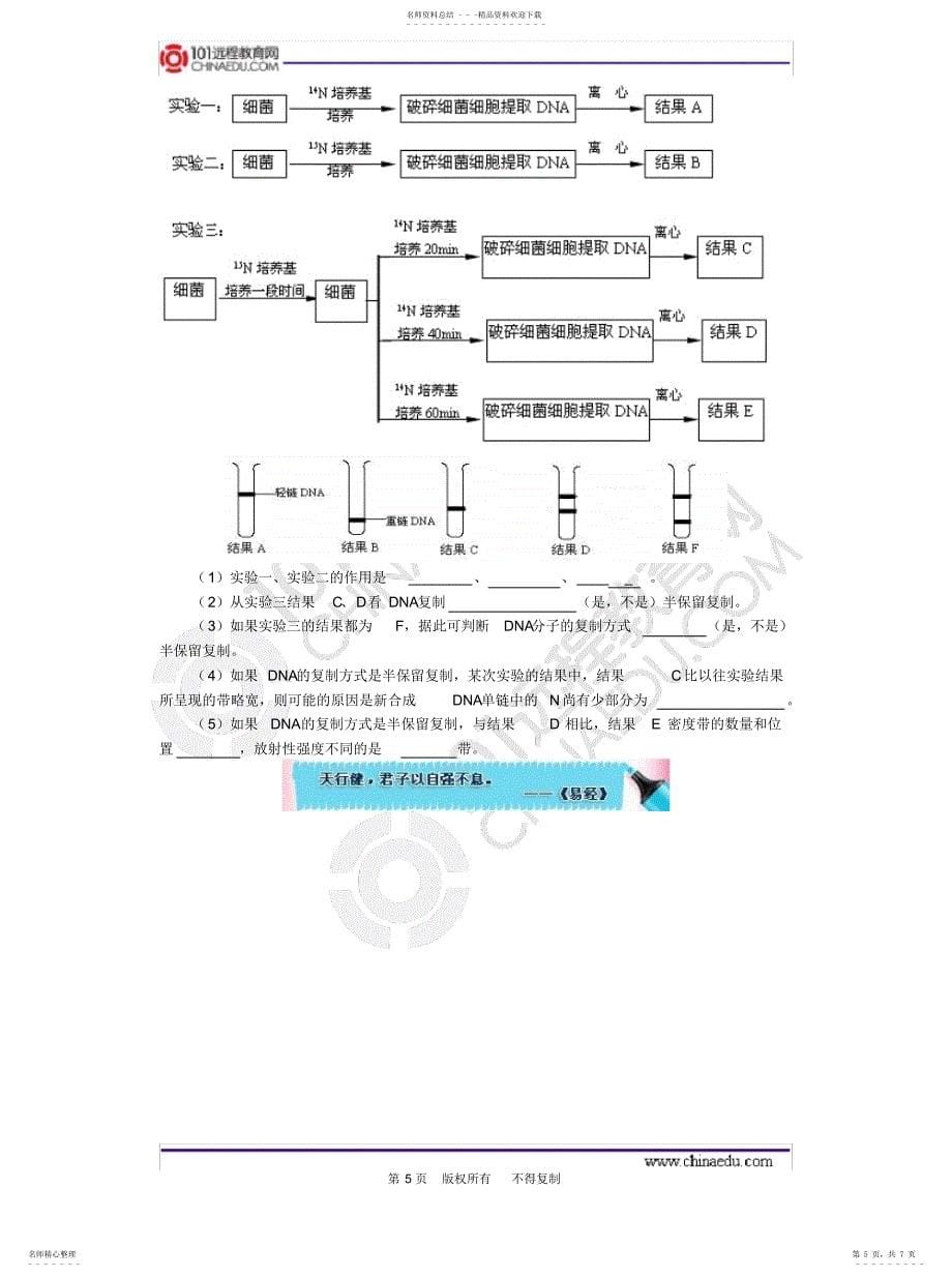 2022年2022年基因的本质与表达综合练习_第5页