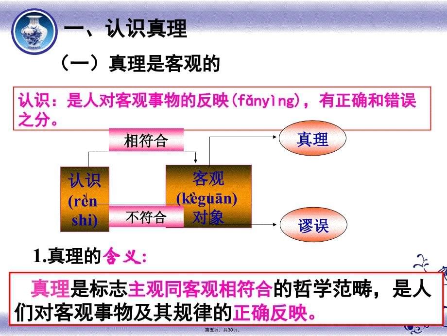 在实践中追求和发展真理(优质课件)复习过程_第5页