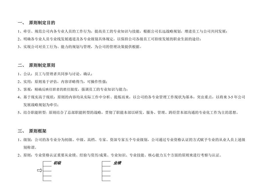 顺丰集团专业类任职资格标准汇编_第2页