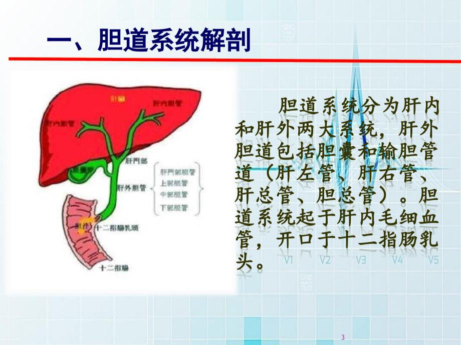 优质课件护理查房新做_第3页