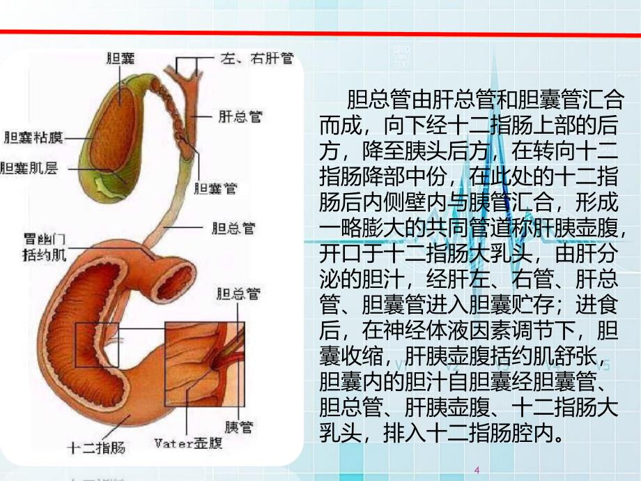 优质课件护理查房新做_第4页