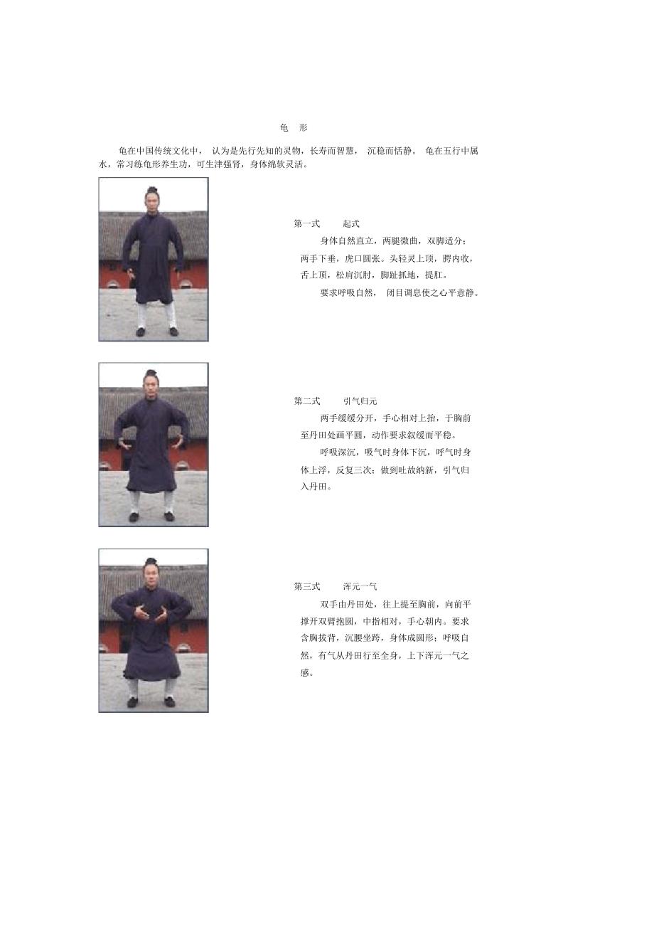 武当龙虎龟鹤功_第1页
