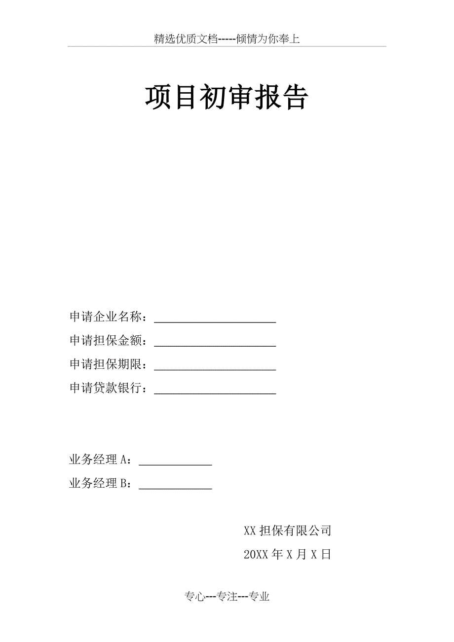 融资性担保公司项目初审报告_第1页