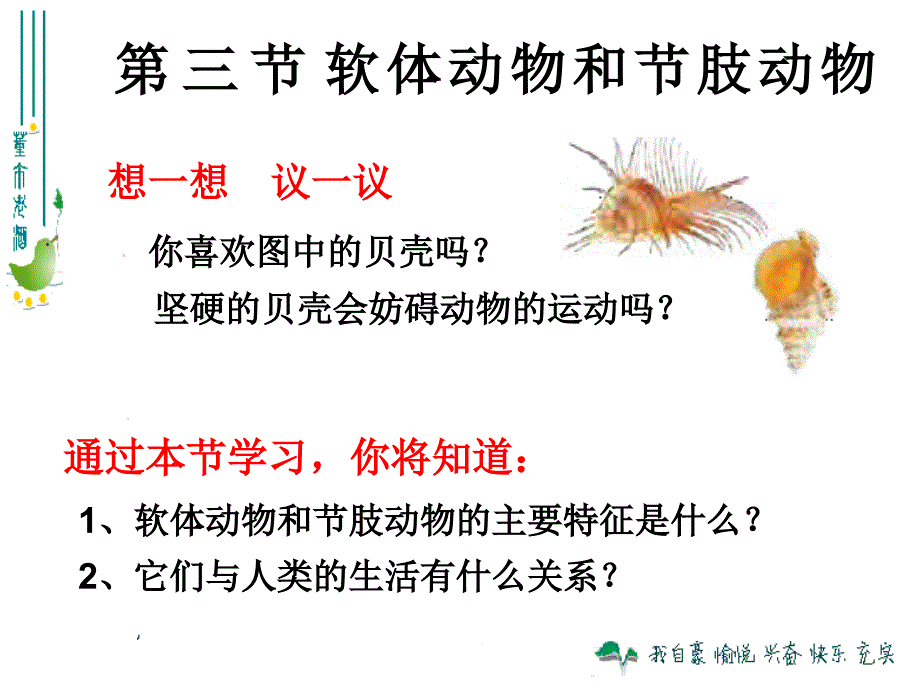 13软体动物和节肢动物_第1页