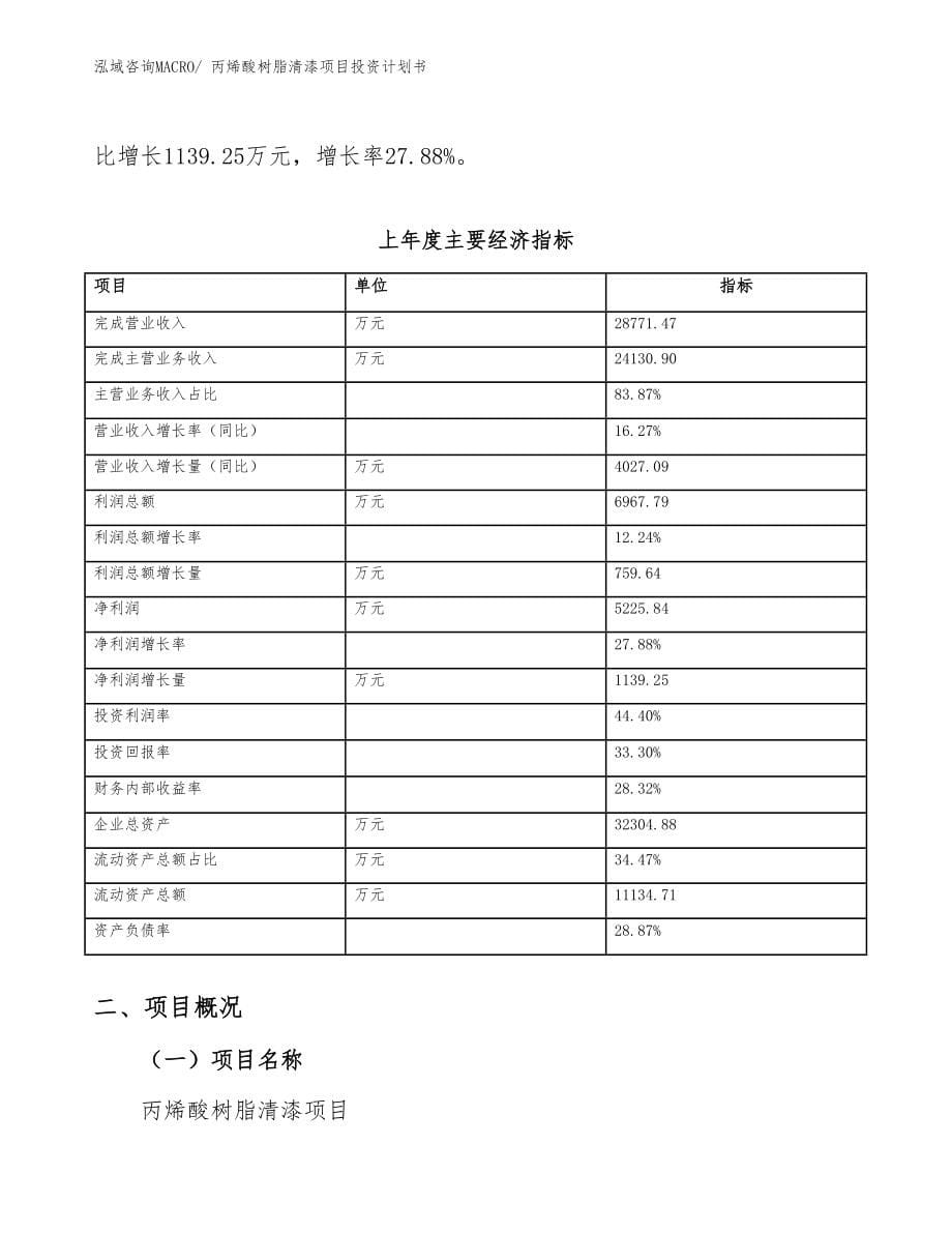 丙烯酸树脂清漆项目投资计划书_第5页