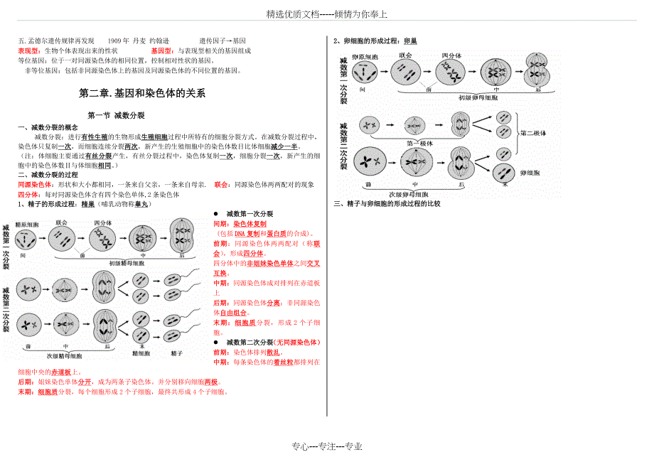 高中生物必修二前两章基础知识总结_第2页