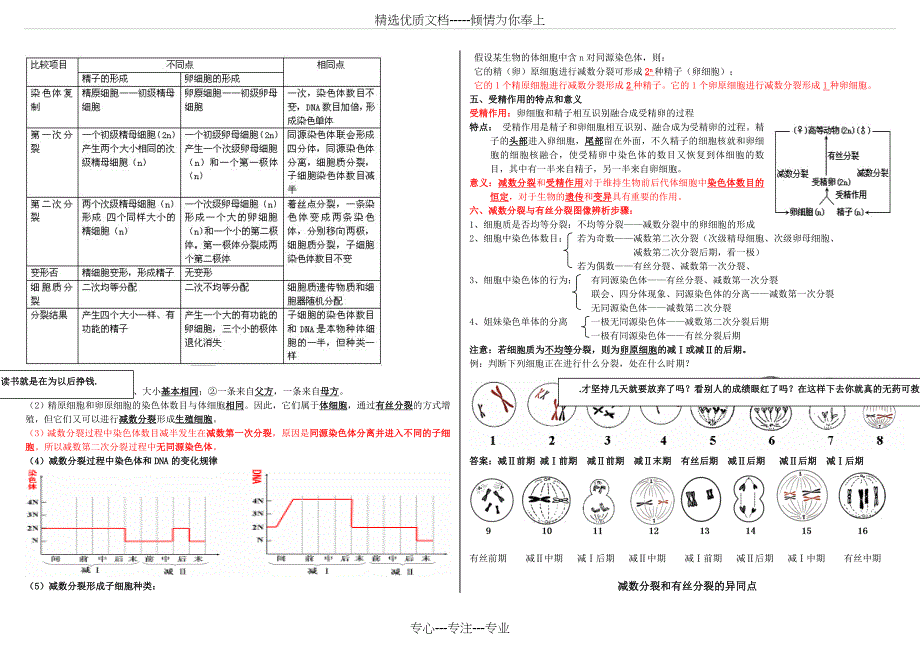 高中生物必修二前两章基础知识总结_第3页