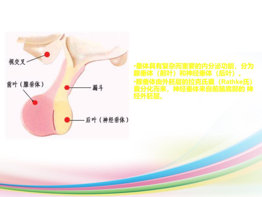 鞍区病变鉴别_第3页