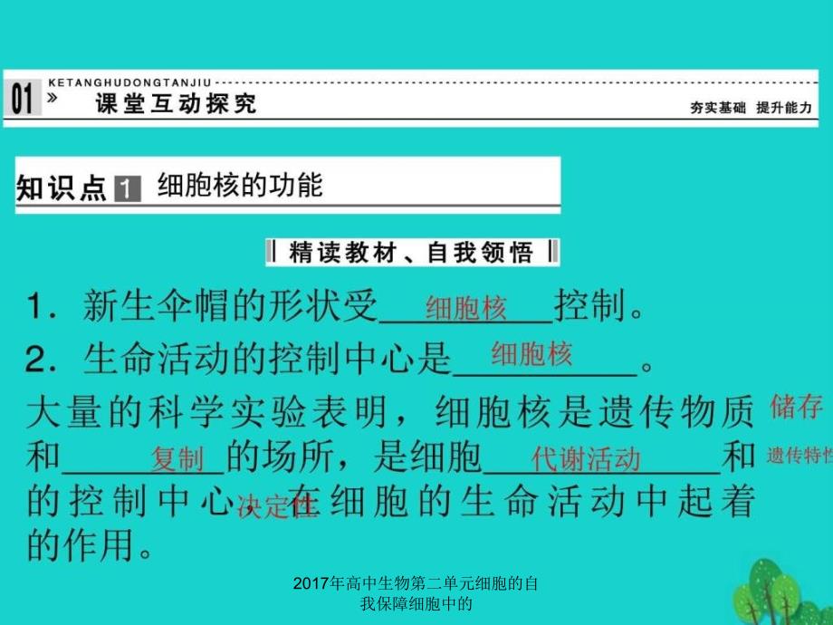 高中生物第二单元细胞的自我保障细胞中的课件_第4页