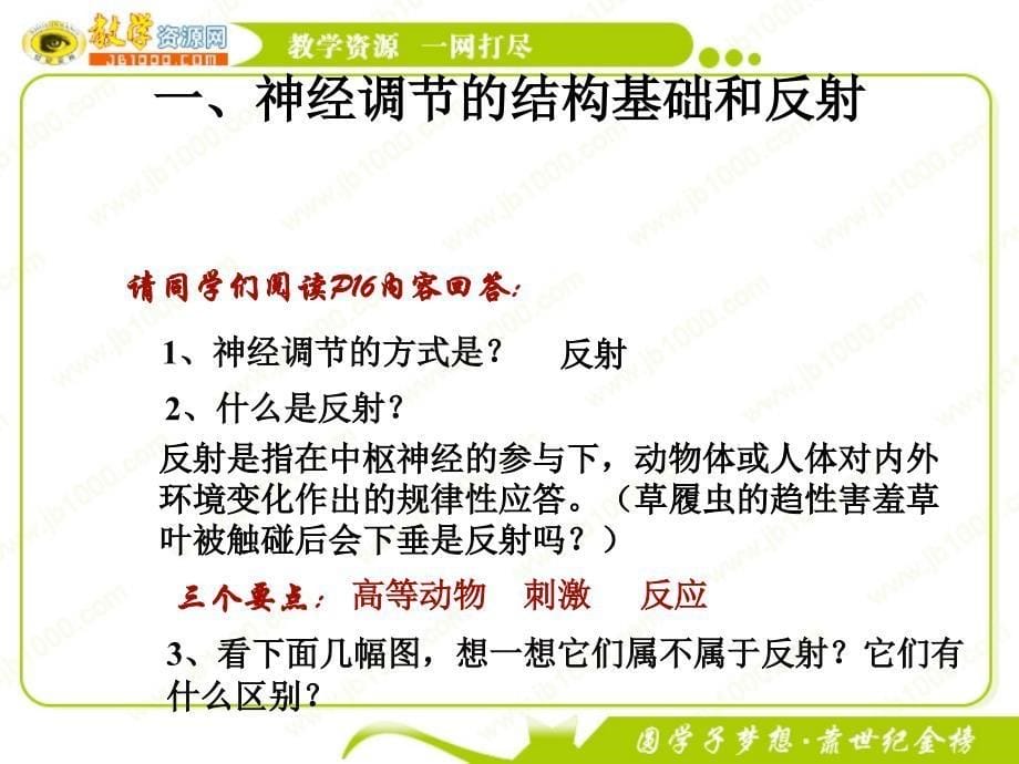 生物：2.1通过神经系统的调节课件3(新人教版必修3)_第5页