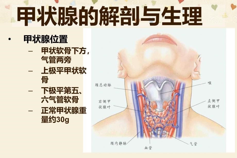 中医外科学——瘿.ppt_第5页