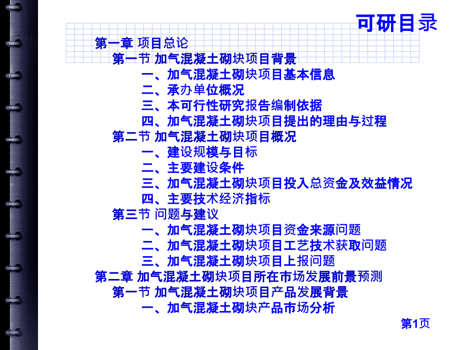 加气溷凝土砌块项目可行性研究报告课件_第3页