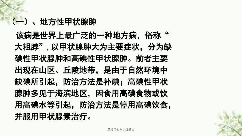 环境污染与人体健康课件_第4页