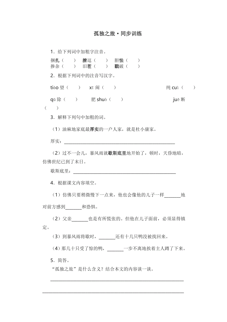 孤独之旅同步训练.doc_第1页