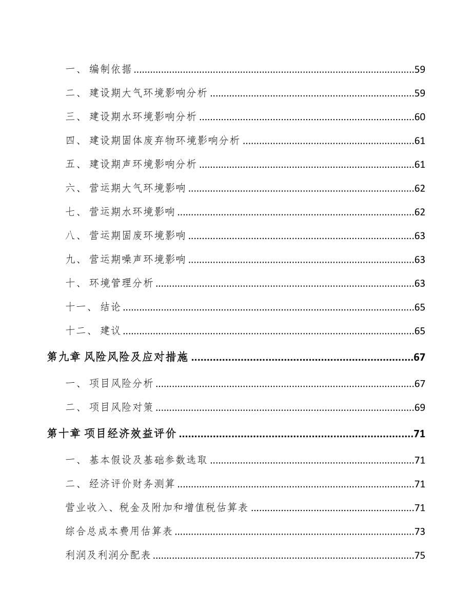 关于成立方底阀口袋公司可行性报告-(8)(DOC 80页)_第5页