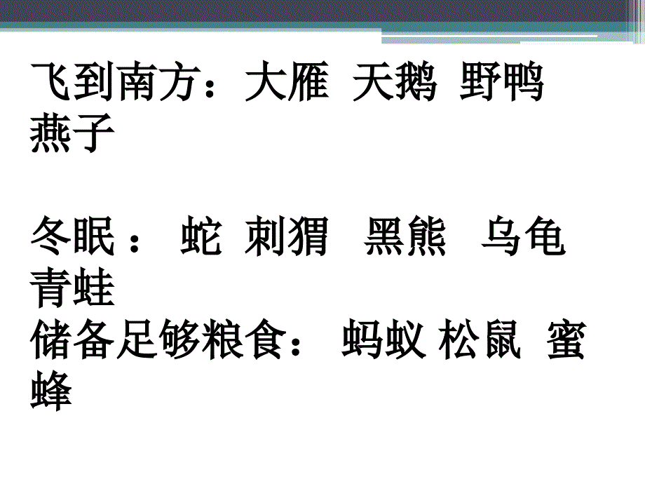 小动物过冬课件 (2)_第2页