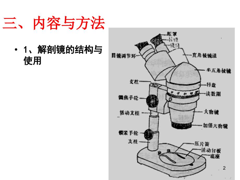 实验七裸子植物观察_第2页