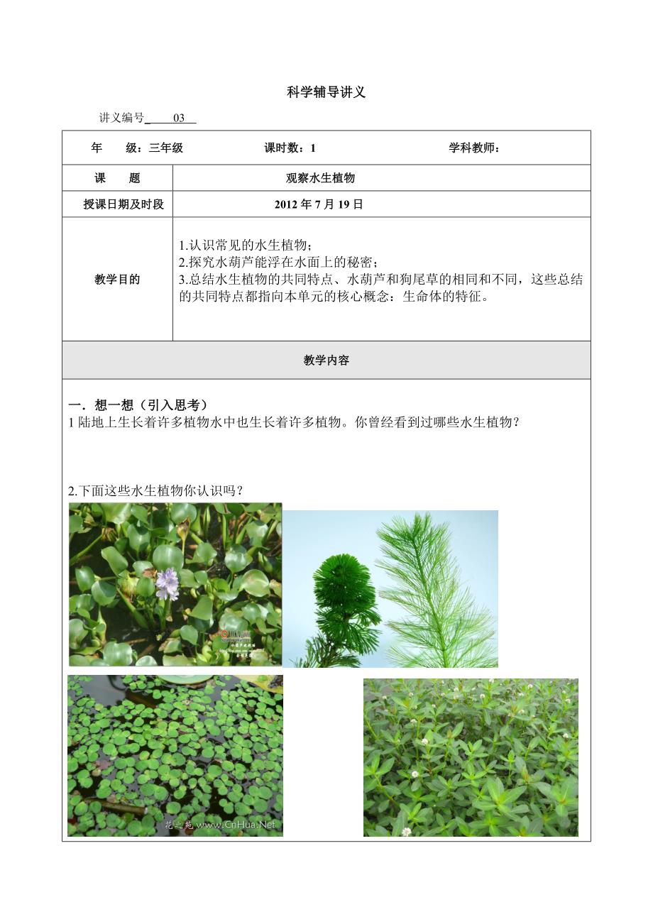 观察水生植物.doc_第1页