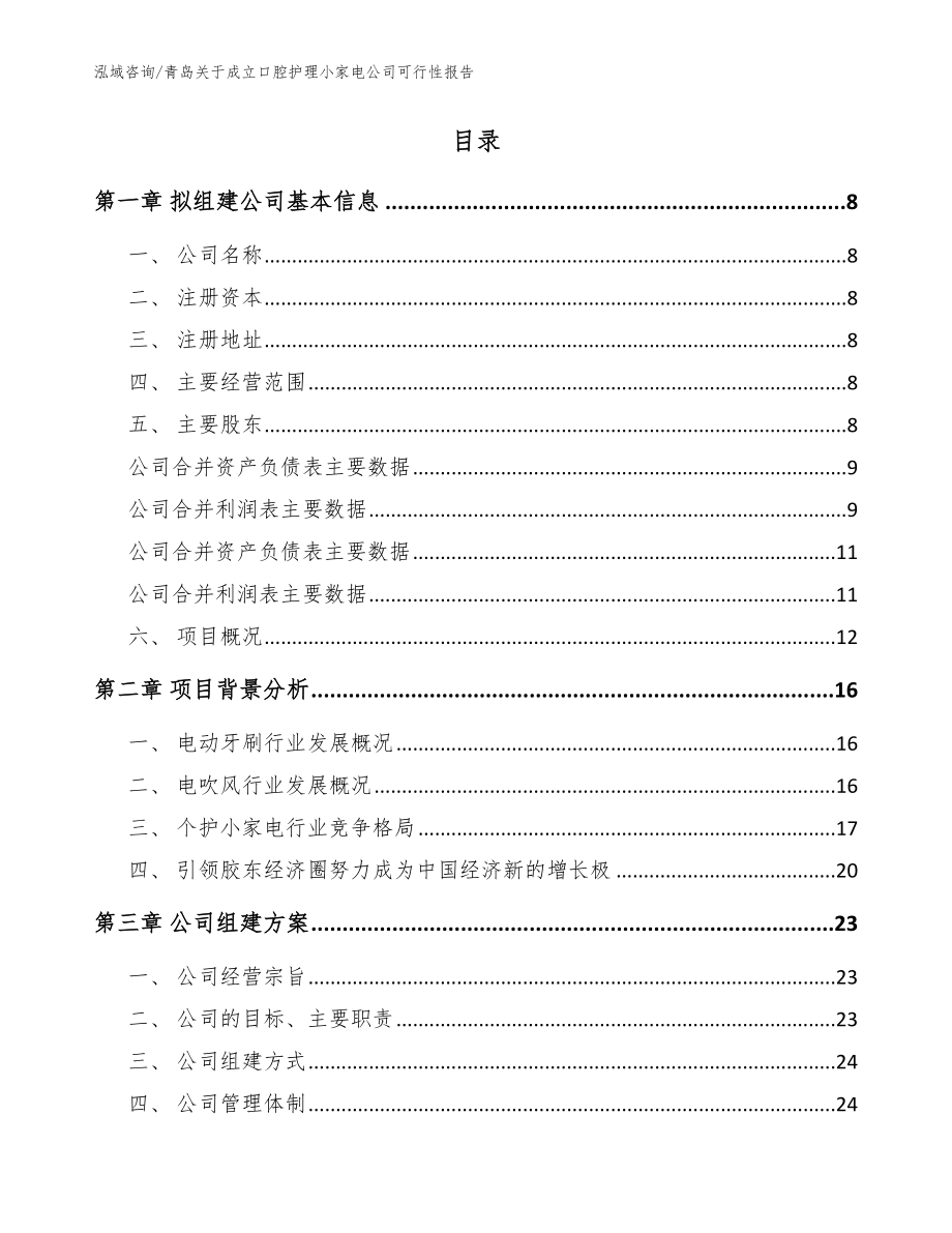 青岛关于成立口腔护理小家电公司可行性报告【范文模板】_第3页