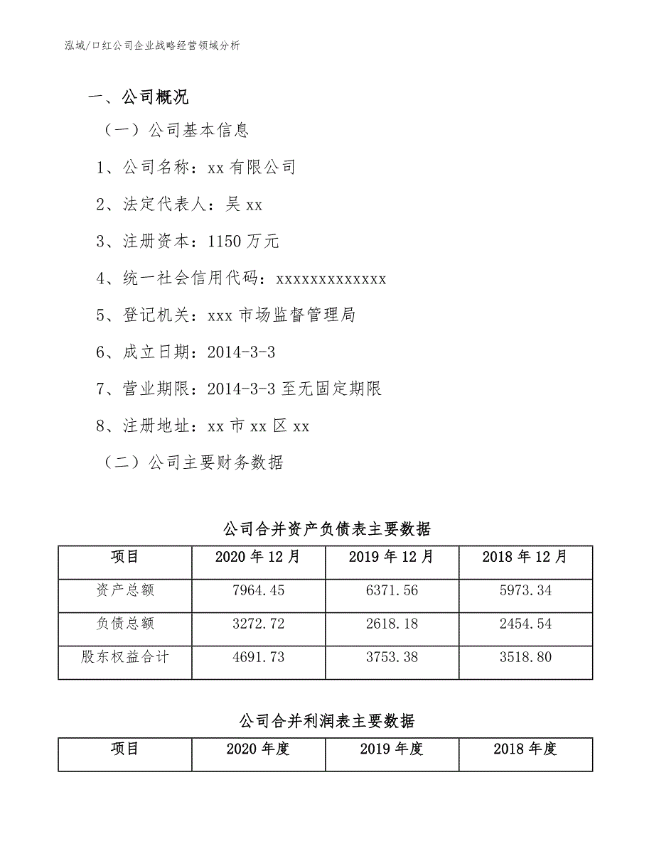 口红公司企业战略经营领域分析 (5)_第3页