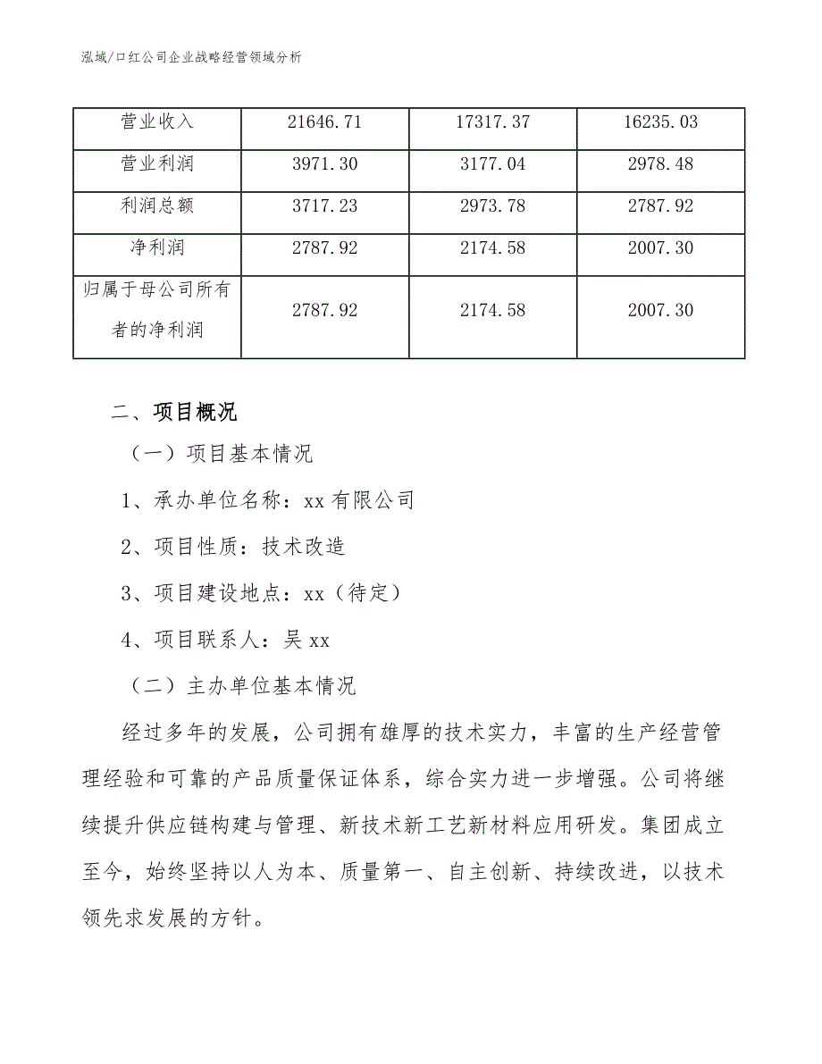 口红公司企业战略经营领域分析 (5)_第4页