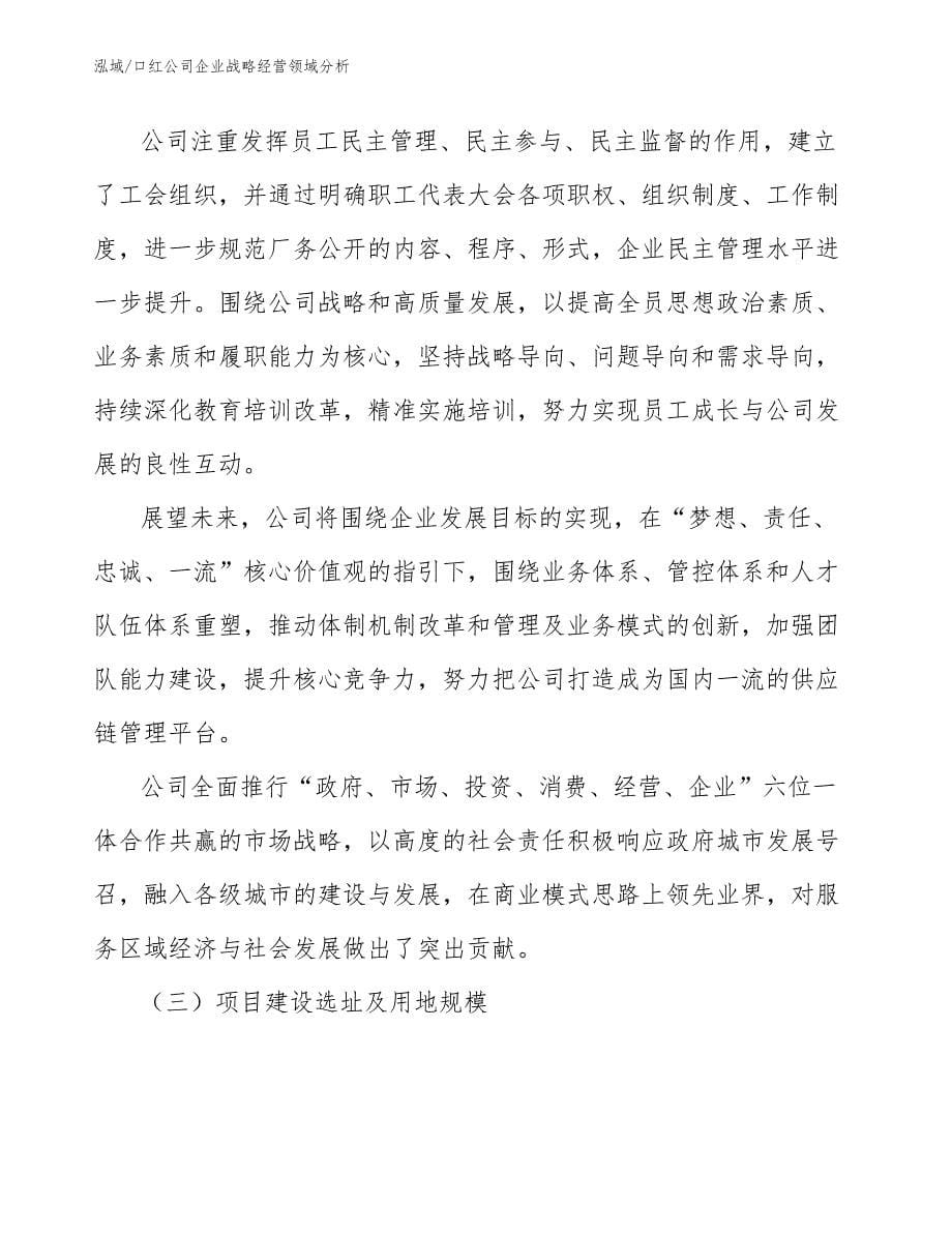 口红公司企业战略经营领域分析 (5)_第5页