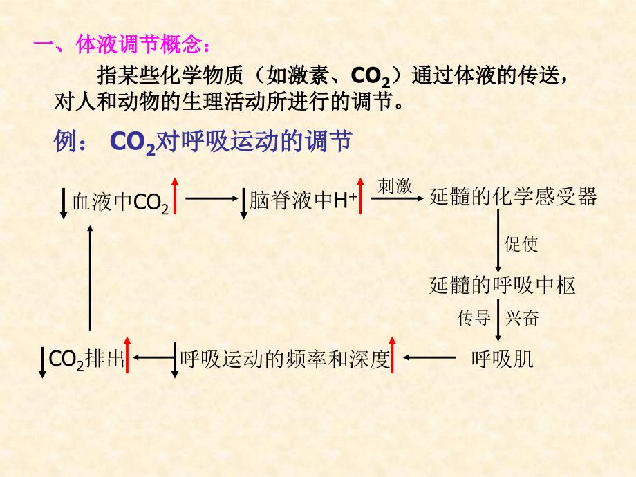 传世好看图片模版_第2页