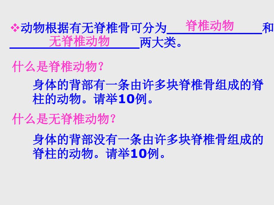 第11课时24常见的动物_第3页