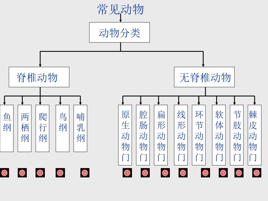 第11课时24常见的动物_第4页