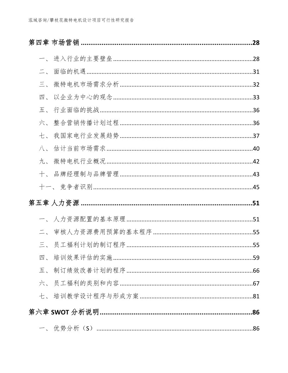 攀枝花微特电机设计项目可行性研究报告_第3页