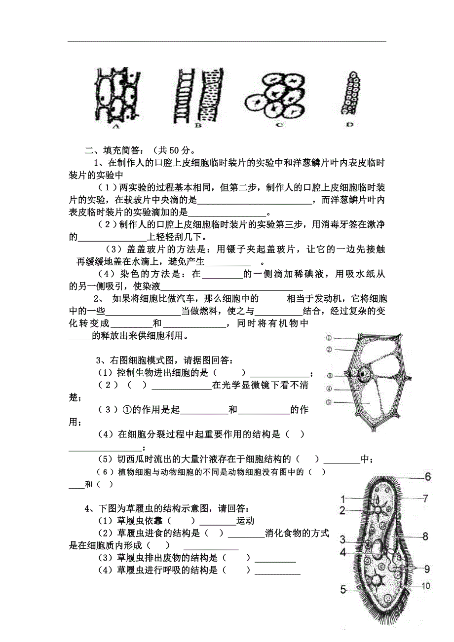 七年级生物试题.doc_第4页