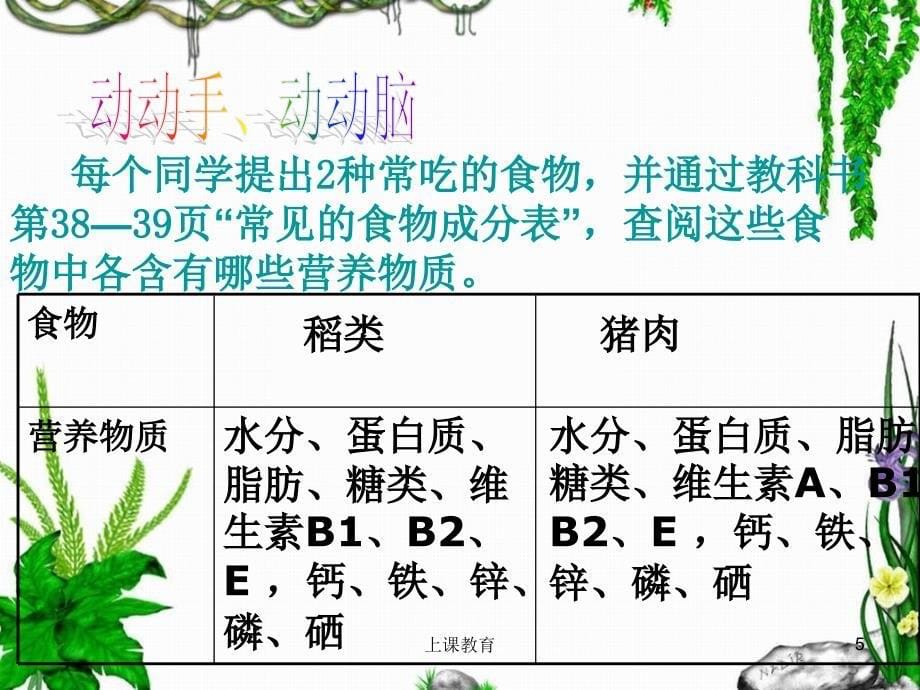 食物中的营养物质实用课资_第5页