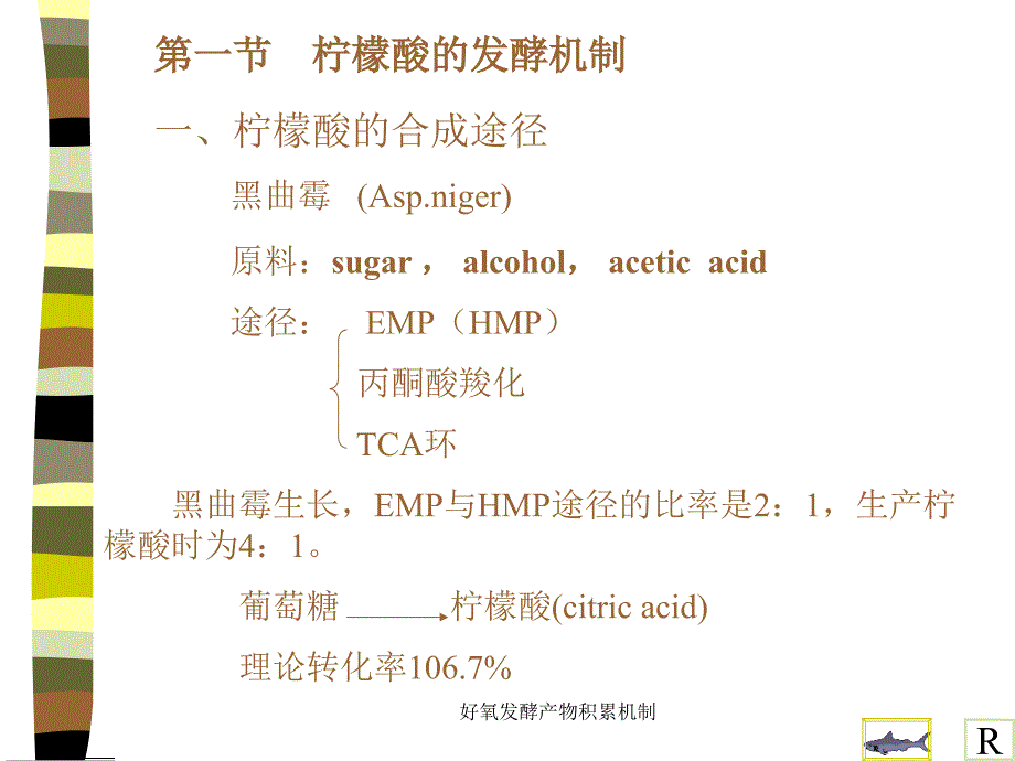 好氧发酵产物积累机制课件_第3页