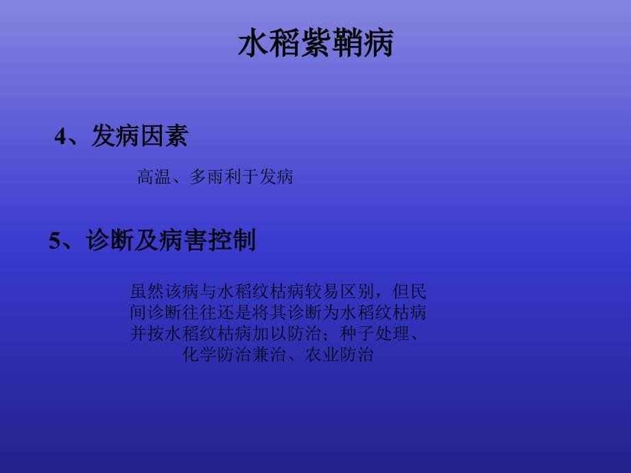 水稻常见病害种类、诊断及其防控措施二_第5页