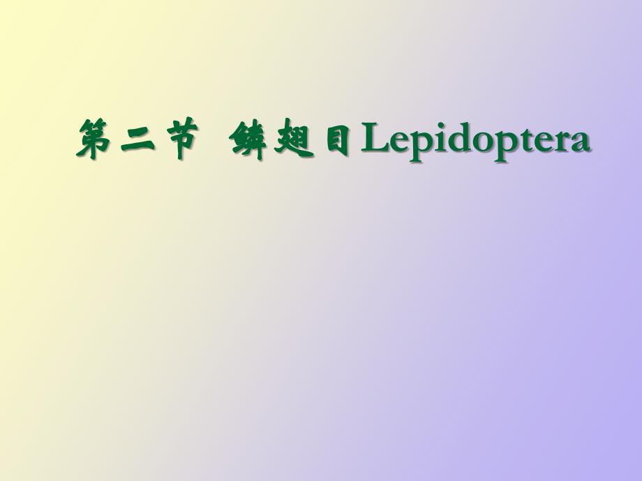 鳞翅目Lepidoptera_第1页