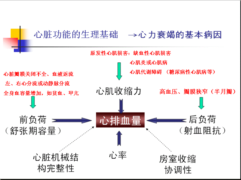 心力衰竭_第4页