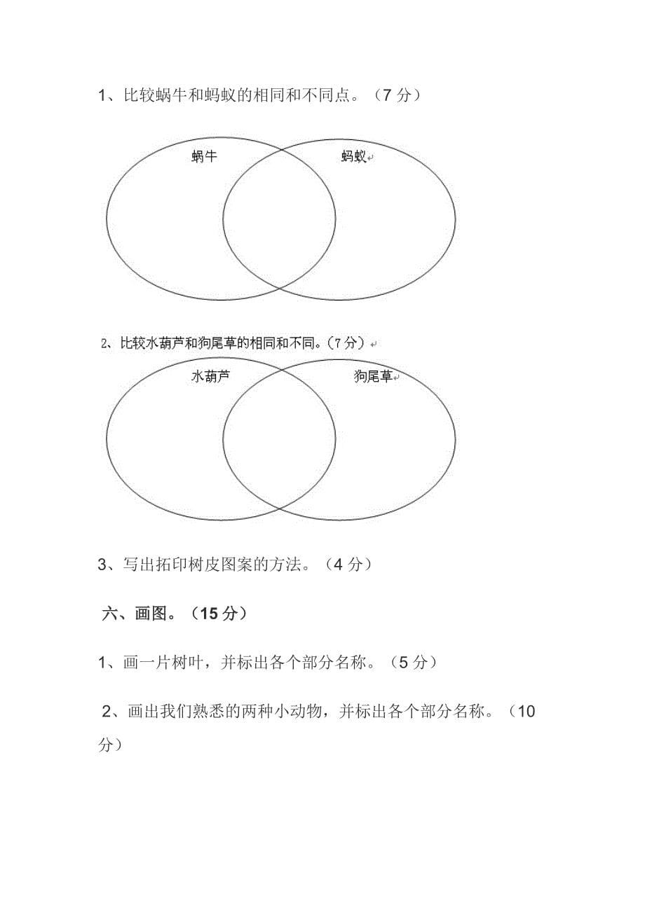 科学上册期中试题.doc_第5页