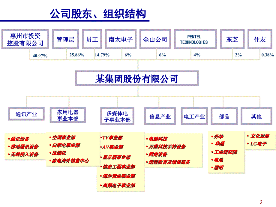 某集团股份有限公司介绍_第3页