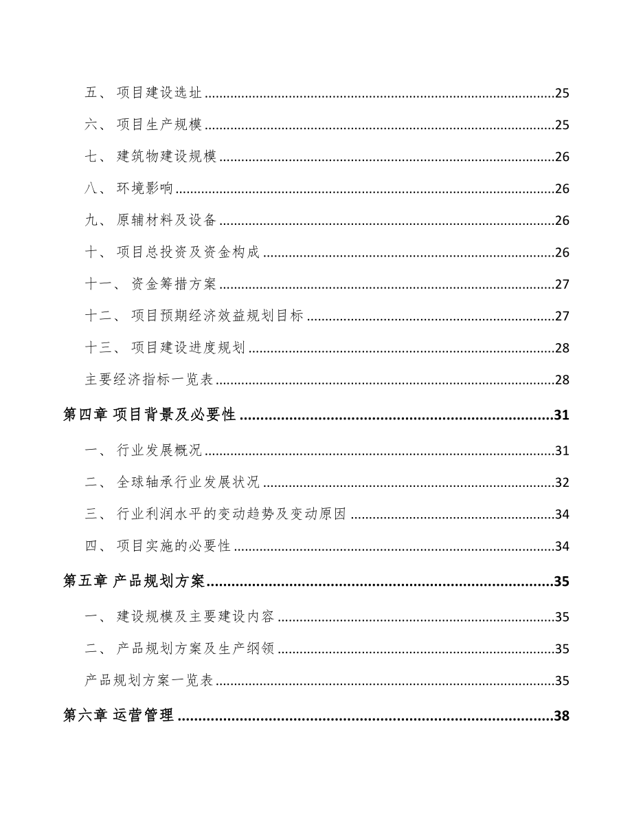 北京回转支承项目可行性研究报告_第2页