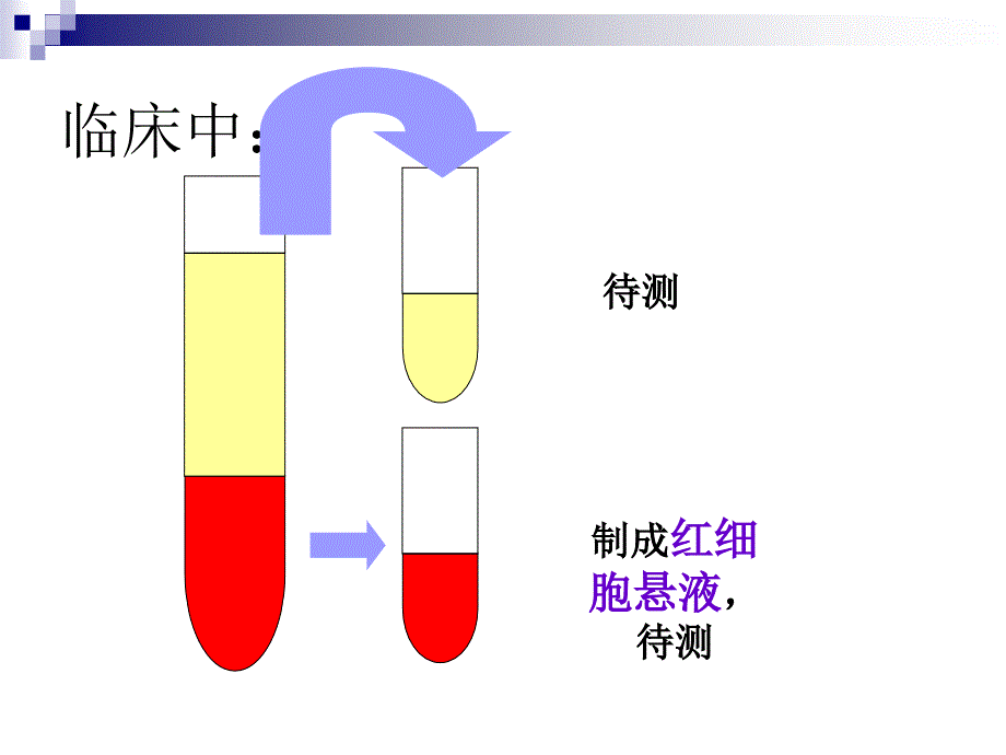 血型鉴定及交叉配血课件_第2页