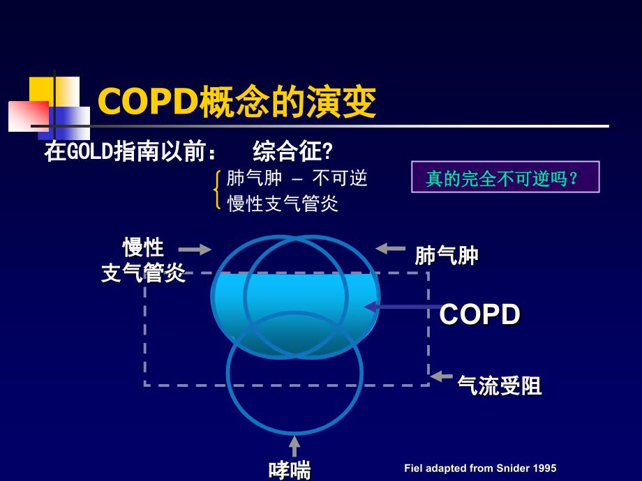 COPD一种伴有异常炎症反应的多因素构成的疾病_第4页