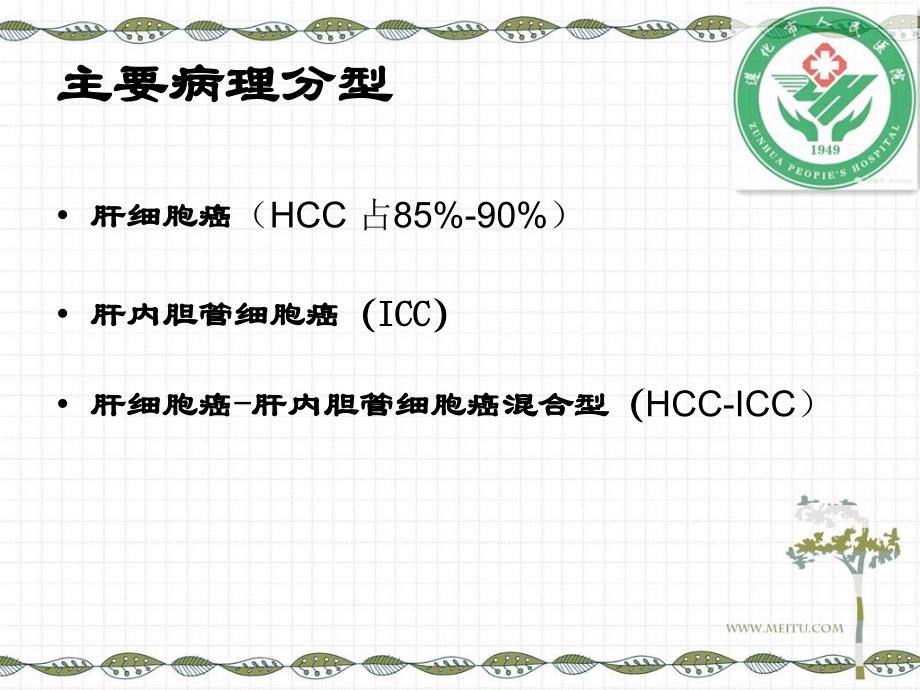 原发性肝癌诊疗指南解读_第3页