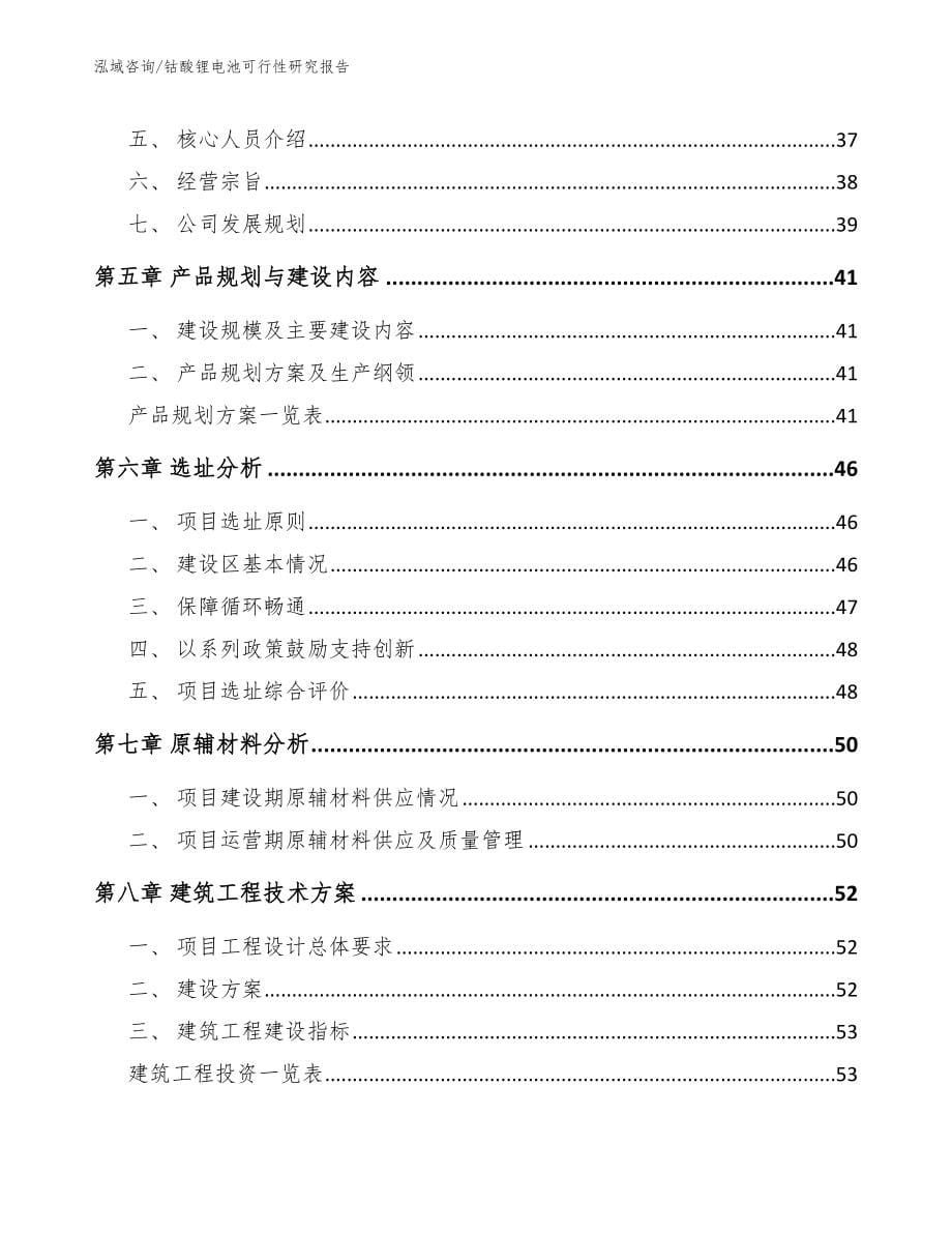 钴酸锂电池可行性研究报告_第5页